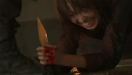 Zero Woman 2005 (2004) 