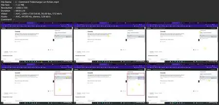 Microsoft Office Excel: Niveau Introduction Au Niveau Avancé