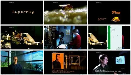 BBC 4 - Superfly (2009)