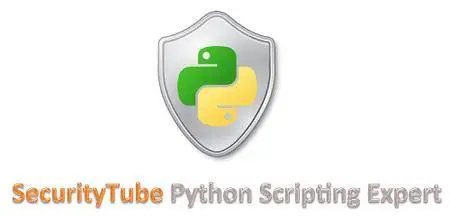 Scripting Wi-Fi Pentesting Tools in Python