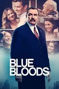 Blue Bloods S08E07