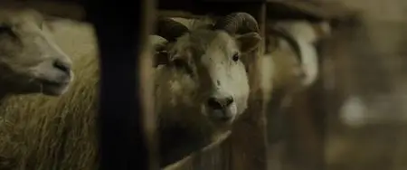 Lamb (2021)