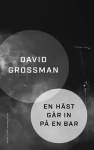 «En häst går in på en bar» by David Grossman