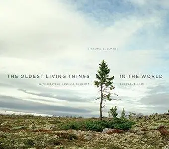 The Oldest Living Things in the World (Repost)