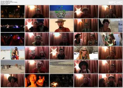 Burning Man and the Meaning of Life (2013)