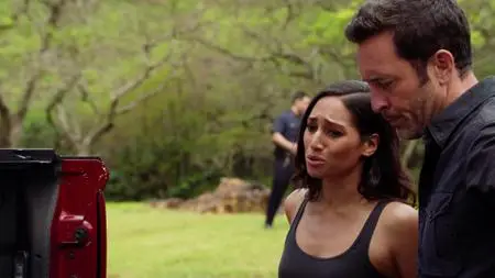 Hawaii Five-0 S10E20