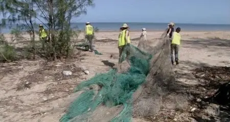 ABC - Lost Years A Sea Turtle Odyssey (2014)