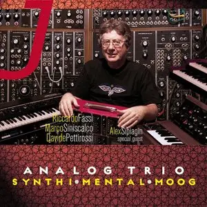 Analog Trio - Synthi Mental Moog (2015)