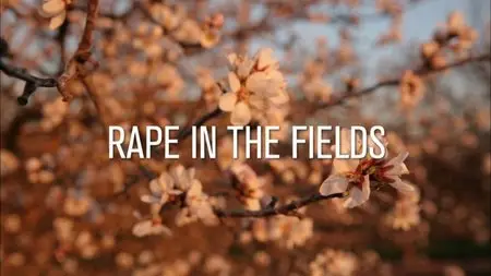 PBS Frontline - Rape in the Fields (2013)