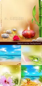 Nature of the vector background