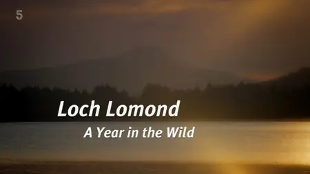 CH5 - Loch Lomond: A Year in the Wild (2015)