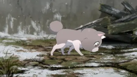 Fairies Albums S05E10