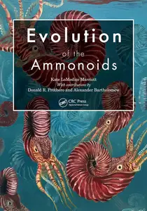 Evolution of the Ammonoids