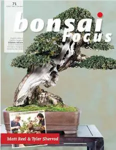 Bonsai Focus N.71 - Settembre-Ottobre 2017 (Edizione Italiana)