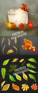 Autumn nature elements