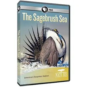 PBS - Nature: The Sagebrush Sea (2015)