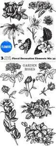 Vectors - Floral Decoration Elements Mix 34