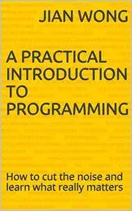 A practical introduction to Programming: How to cut the noise and learn what really matters