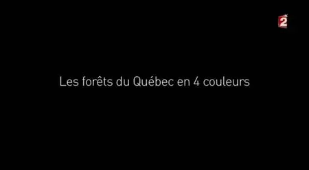 (Fr2) Les forêts du Québec en 4 couleurs (2014)