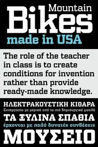 PF Synch Pro Font Family