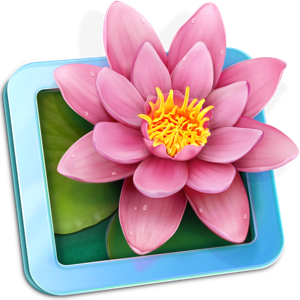 LilyView 1.4.1