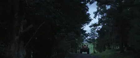 Bellbird (2019)