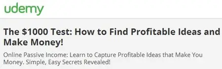 The $1000 Test: How to Find Profitable Ideas and Make Money!