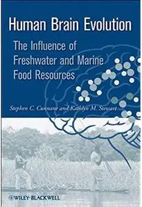 Human Brain Evolution: The Influence of Freshwater and Marine Food Resources