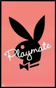 Playboy Playmates Centerfold Collection / 1953 - 2006