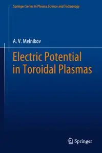 Electric Potential in Toroidal Plasmas