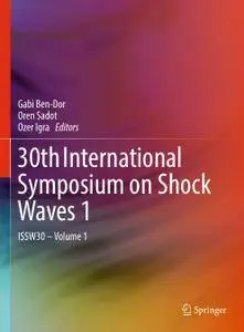 30th International Symposium on Shock Waves 1: ISSW30 - Volume 1