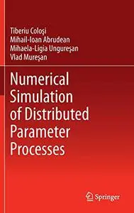 Numerical Simulation of Distributed Parameter Processes