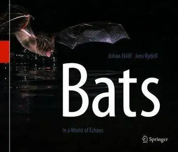 Bats: In a World of Echoes [Repost]