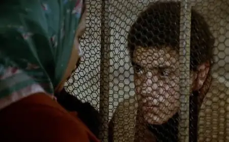 Duvar / The Wall (1983)