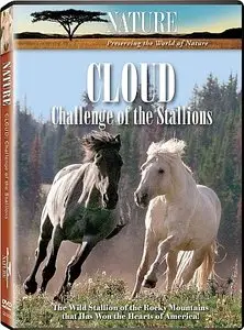PBS Nature - Cloud: Challenge of the Stallions (2009)