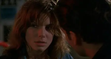 The Net [Traque sur Internet] 1995