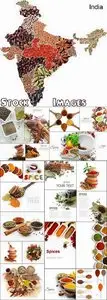 Different species isoled on white - 24 HQ Jpg