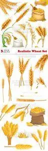 Vectors - Realistic Wheat Set