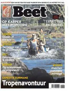 Beet - Augustus 2018