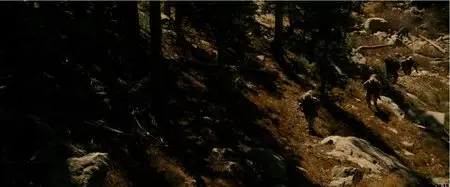 Lone Survivor (2013)