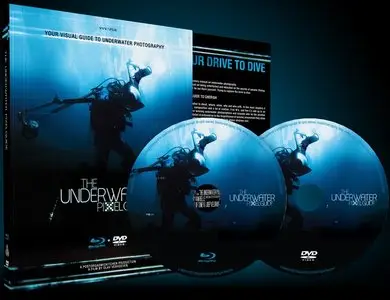 The Underwater Pixelguide / Подводный учебник по пикселям (2012) 