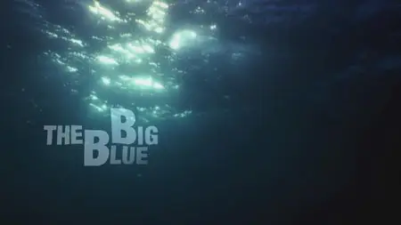 Water Life: Episode 22 - The Big Blue / Mundos de agua / Водная жизнь. Серия 22 - Большая синева (2008)