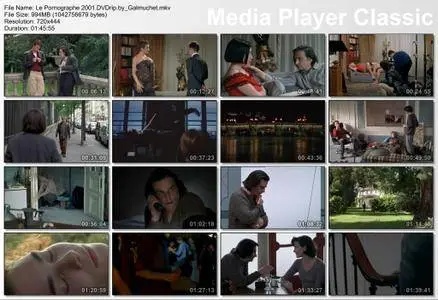 Le Pornographe (2001)
