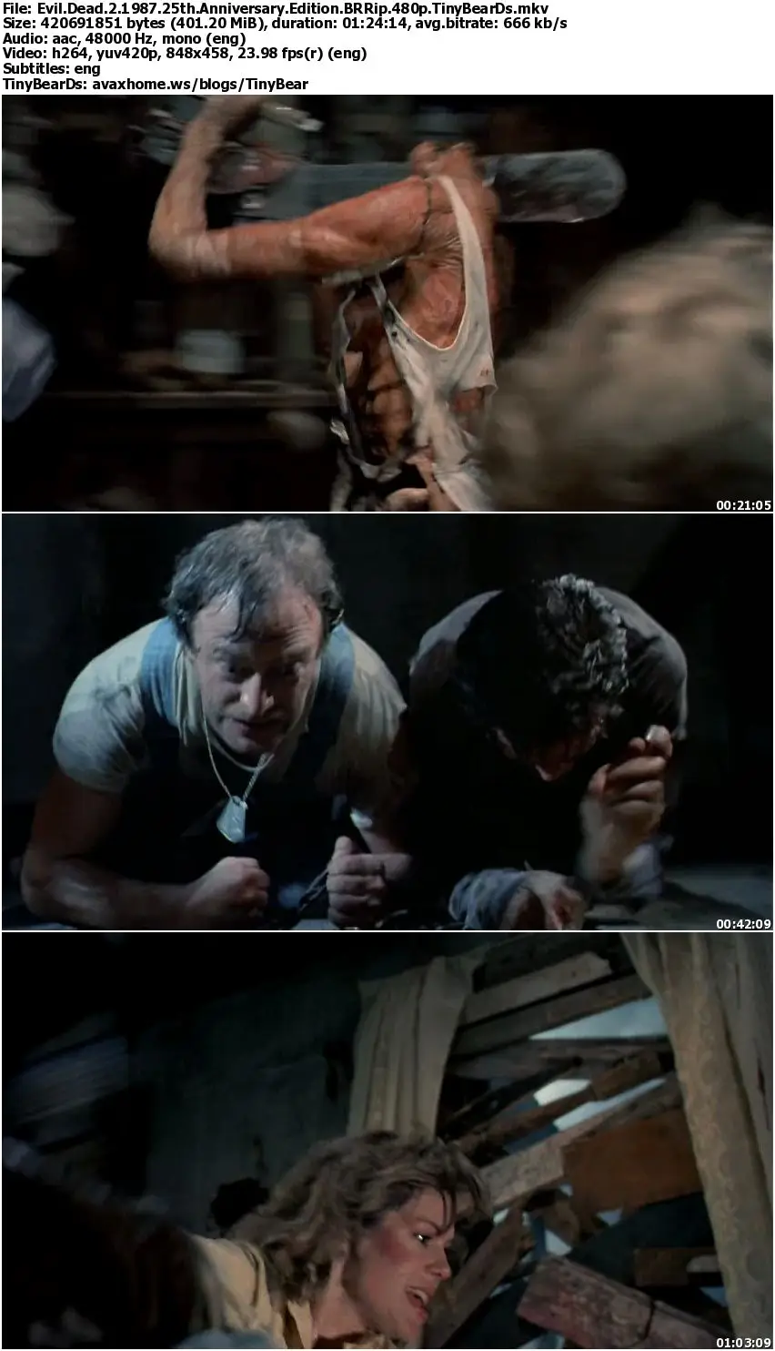 Evil Dead 2 (1987) 25th Anniversary Edition