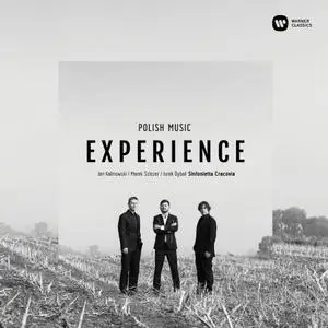 VA -  Polish Music Experience (2018)