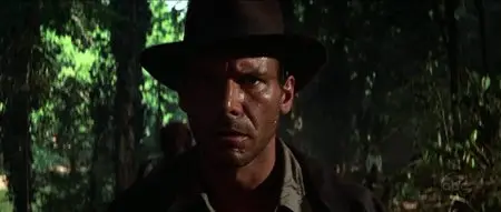 Indiana Jones Quadrilogy