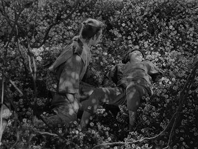 Seven Samurai (1954)