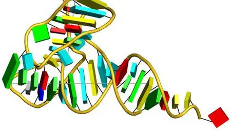 Crash Course On Nucleic Acid Databases For All