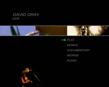 David Gray - Live at The Point (2001)