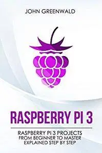 raspberry pi assembly language raspbian beginners pdf download